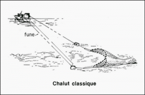 Le chalut classique est une technique de pêche de la Turballe