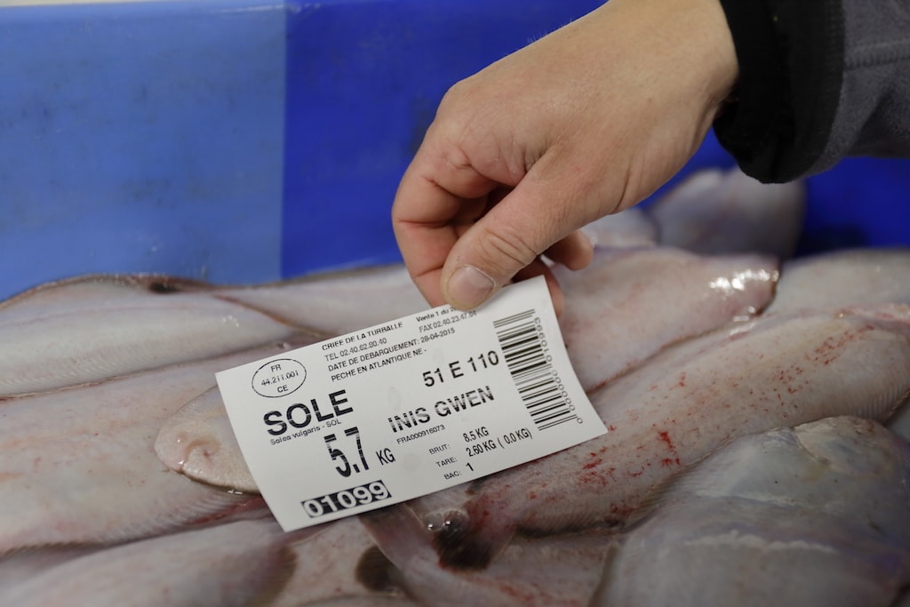 Photos Vente à La Turballe Loire Atlantique pêche et plaisance