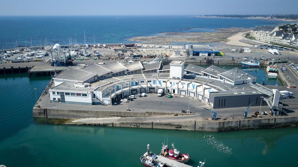 Photo aérienne du port de pêche de la Turballe